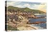 Treasure Island Trailer Park, Laguna Beach, California-null-Stretched Canvas