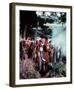 Treasure Island-null-Framed Photo