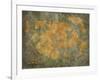 Treasure Map-jgroup-Framed Art Print