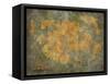 Treasure Map-jgroup-Framed Stretched Canvas