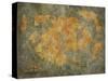 Treasure Map-jgroup-Stretched Canvas