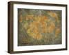 Treasure Map-jgroup-Framed Art Print