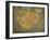 Treasure Map-jgroup-Framed Art Print