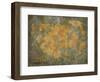 Treasure Map-jgroup-Framed Art Print