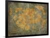 Treasure Map-jgroup-Framed Art Print