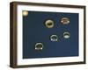 Treasure of Tanis, Gold and Precious Stone Rings of Psusennes I-null-Framed Giclee Print