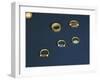 Treasure of Tanis, Gold and Precious Stone Rings of Psusennes I-null-Framed Giclee Print