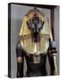 Treasure of Tutankhamen, Wood, Gold and Bronze Statue of Sun God, Horakhty-null-Stretched Canvas