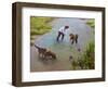 Treasured Memories 5-Kevin Dodds-Framed Giclee Print