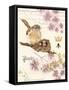 Treasured Nest-Colleen Sarah-Framed Stretched Canvas