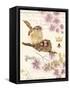 Treasured Nest-Colleen Sarah-Framed Stretched Canvas