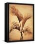 Treasured Palm I-David Parks-Framed Stretched Canvas