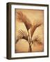 Treasured Palm I-David Parks-Framed Art Print
