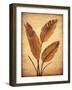 Treasured Palm II-David Parks-Framed Art Print