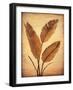 Treasured Palm II-David Parks-Framed Art Print