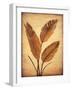 Treasured Palm II-David Parks-Framed Art Print