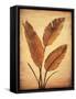 Treasured Palm II-David Parks-Framed Stretched Canvas