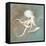 Treasures from the Sea V-Danhui Nai-Framed Stretched Canvas