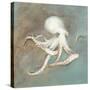 Treasures from the Sea V-Danhui Nai-Stretched Canvas