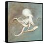 Treasures from the Sea V-Danhui Nai-Framed Stretched Canvas