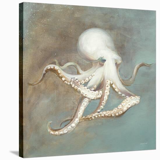 Treasures from the Sea V-Danhui Nai-Stretched Canvas
