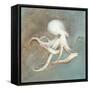 Treasures from the Sea V-Danhui Nai-Framed Stretched Canvas