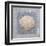 Treasures I-Jan Sacca-Framed Giclee Print