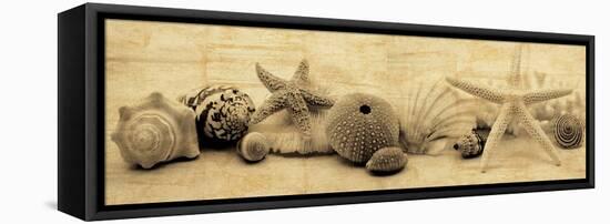 Treasures I-John Seba-Framed Stretched Canvas