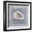 Treasures II-Jan Sacca-Framed Giclee Print