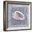 Treasures II-Jan Sacca-Framed Giclee Print