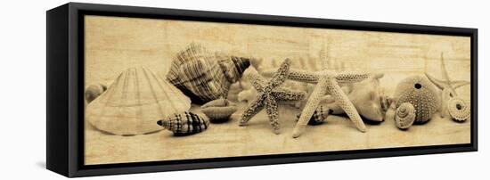 Treasures II-John Seba-Framed Stretched Canvas