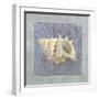 Treasures IV-Jan Sacca-Framed Giclee Print