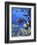 Treasures of the Sea I-Apollo-Framed Giclee Print