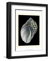 Treasures of the Sea III-Pierre-Joseph Redouté-Framed Art Print