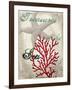 Treasures of the Sea-Karen Williams-Framed Giclee Print