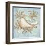 Treasures of the Tide I-Kate McRostie-Framed Art Print