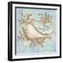 Treasures of the Tide I-Kate McRostie-Framed Art Print