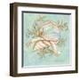 Treasures of the Tide II-Kate McRostie-Framed Art Print