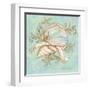 Treasures of the Tide II-Kate McRostie-Framed Art Print