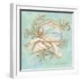 Treasures of the Tide II-Kate McRostie-Framed Art Print