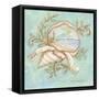 Treasures of the Tide II-Kate McRostie-Framed Stretched Canvas