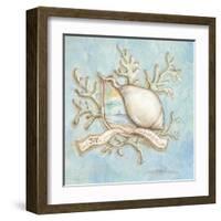 Treasures of the Tide III-Kate McRostie-Framed Art Print