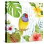 Treasures of the Tropics V-Kathleen Parr McKenna-Stretched Canvas