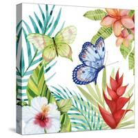 Treasures of the Tropics VI-Kathleen Parr McKenna-Stretched Canvas