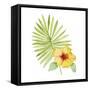 Treasures of the Tropics XI-Kathleen Parr McKenna-Framed Stretched Canvas