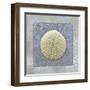Treasures V-Jan Sacca-Framed Giclee Print