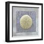 Treasures V-Jan Sacca-Framed Giclee Print