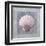 Treasures VI-Jan Sacca-Framed Giclee Print