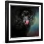 Treat Snatcher Toy Black Poodle-Jai Johnson-Framed Giclee Print