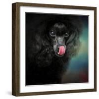 Treat Snatcher Toy Black Poodle-Jai Johnson-Framed Giclee Print